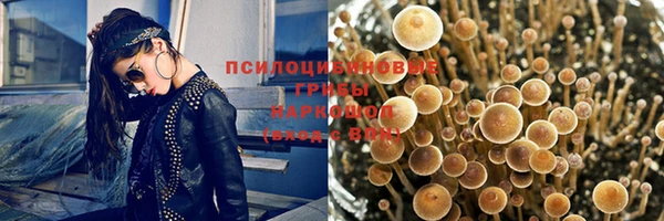 прущие крисы Армянск