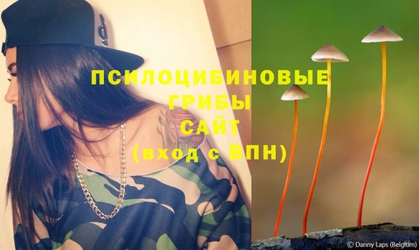 синтетический гашиш Новодвинск