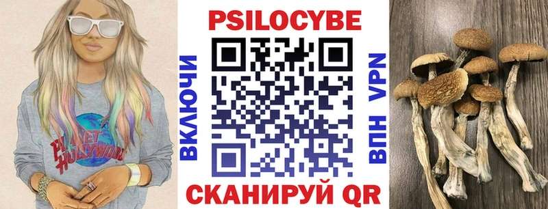 Галлюциногенные грибы мицелий  Горно-Алтайск 